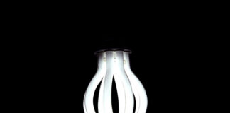 Energooszczędne lampy uprawne