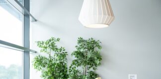 Czy IKEA wnosi Meble do domu?