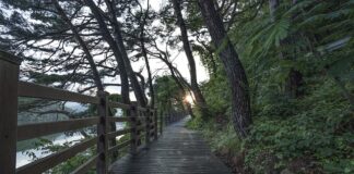 Od jakiej kwoty jest Darmowa dostawa w IKEA?