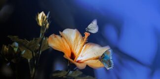 Ile kosztuje blat z kompozytu?