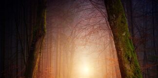 Jaki kolor mebli do kuchni 2023?