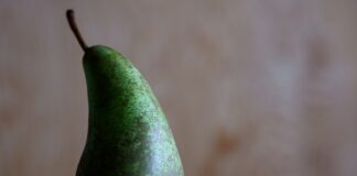 Czy jest bojkot Leroy Merlin?