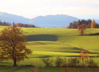 Ile na rękę 4200 brutto? Ile na rękę 4200 brutto?