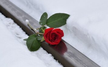 Czy Lena to polskie imię? Czy Lena to polskie imię?