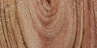 Jaka firma meblowa najlepsza?