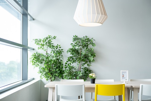 Jak odebrać 50 zł IKEA? Jak odebrać 50 zł IKEA?