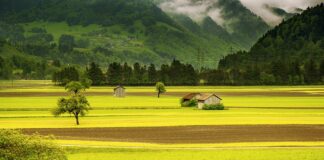 Ile trwa tydzień pracy w Szwajcarii?