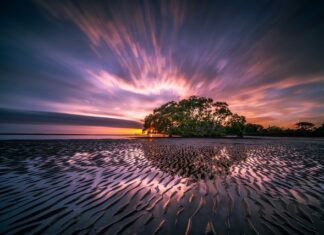 Ile kosztuje wykonanie odpływu liniowego? Ile kosztuje wykonanie odpływu liniowego?