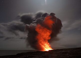 Czy można sypać popiół pod maliny?