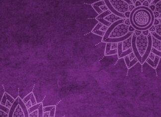 Czy można dostać mandat za brak kamizelki odblaskowej?