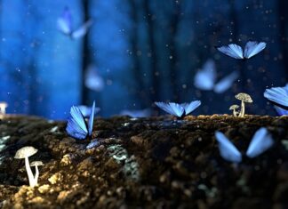 Ile kosztuje 1 m3 drewna konstrukcyjnego?