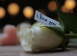 Czy policja może zabrać dowód za brak gaśnicy?